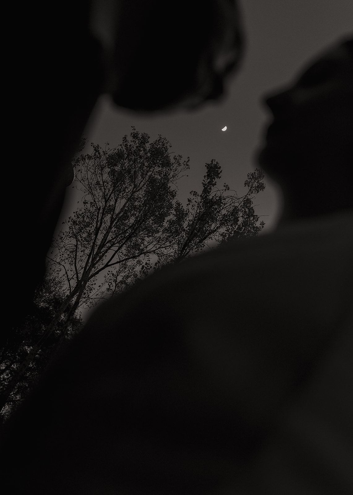Silhouettes of a couple under bare trees and a crescent moon at night