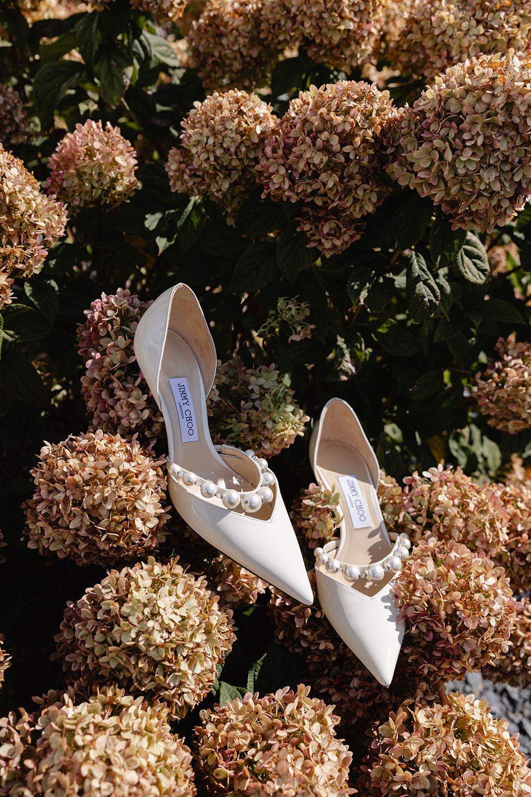 Jimmy Choo pearl-embellished heels resting on blooming hydrangeas